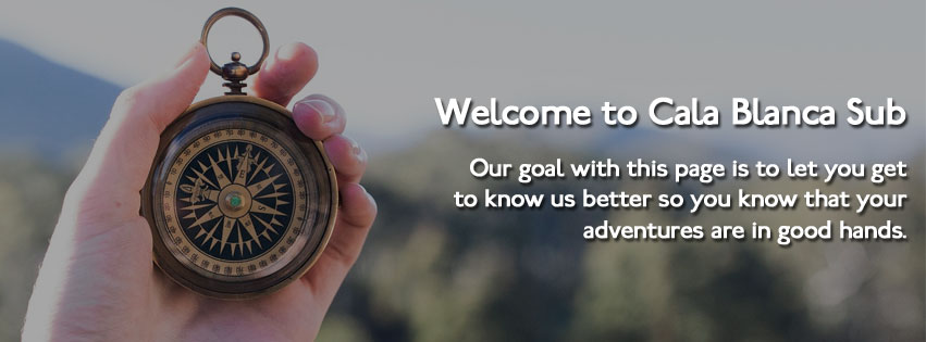 about us - About Us